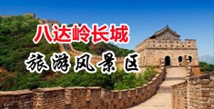 8x8x老年人性交中国北京-八达岭长城旅游风景区